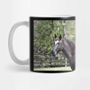 Mustang Mug